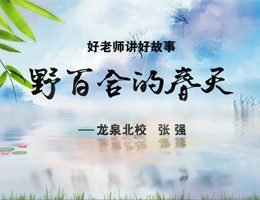 野百合的春天-张强